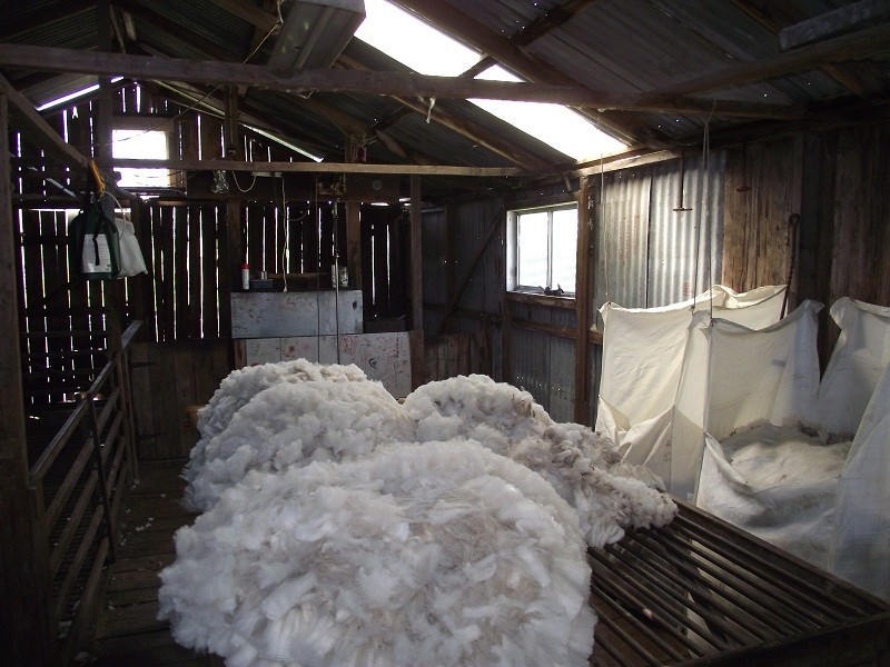 2928 Woodsdale Road, Woodsdale TAS 7120