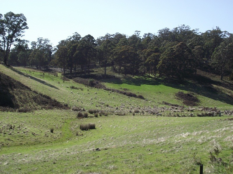 2928 Woodsdale Road, Woodsdale TAS 7120