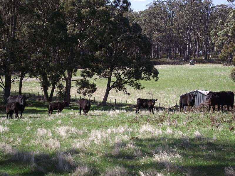 2928 Woodsdale Road, Woodsdale TAS 7120