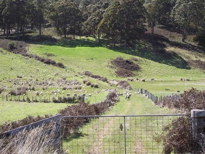 2928 Woodsdale Road, Woodsdale TAS 7120