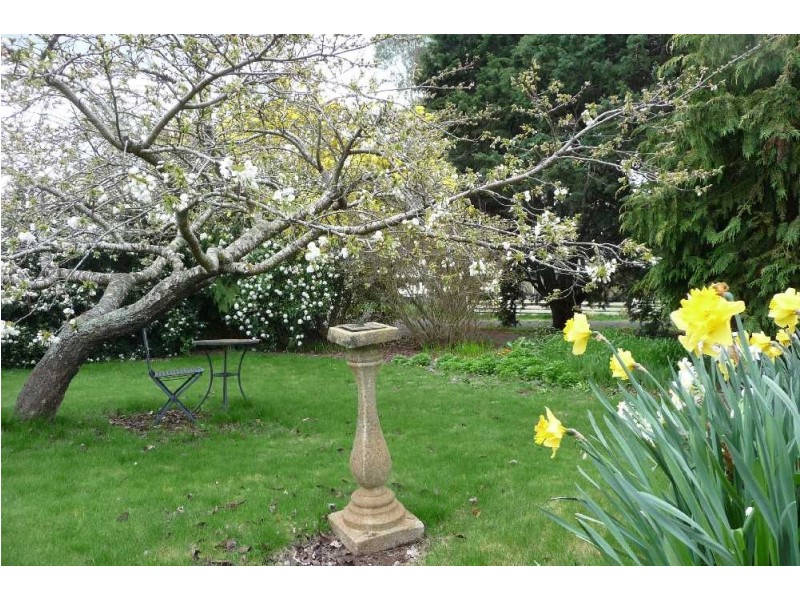 50 Roseneath Road, Ross TAS 7209