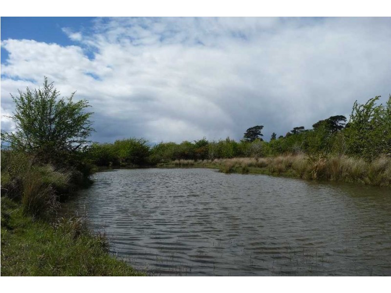 50 Roseneath Road, Ross TAS 7209