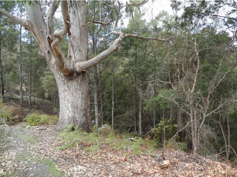 50 Whites Mill Road, Underwood TAS 7268