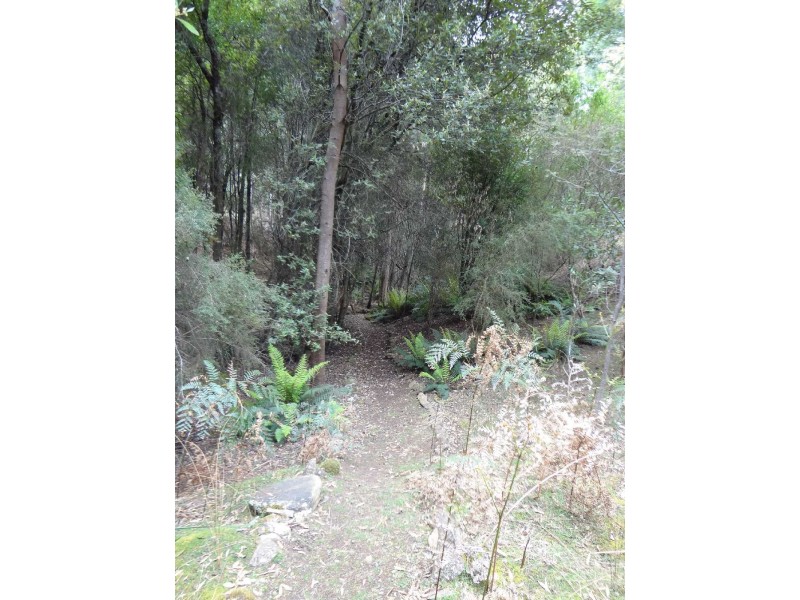 50 Whites Mill Road, Underwood TAS 7268