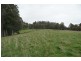 1920 Deddington Road, Blessington TAS 7212