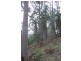 1920 Deddington Road, Blessington TAS 7212