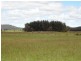 849 The Glen Road, Pipers River TAS 7252