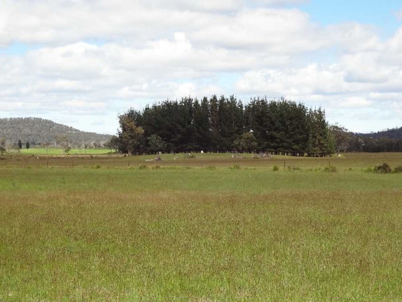 849 The Glen Road, Pipers River TAS 7252