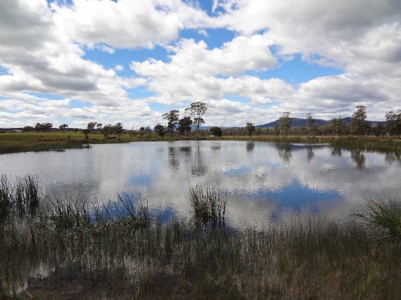 849 The Glen Road, Pipers River TAS 7252