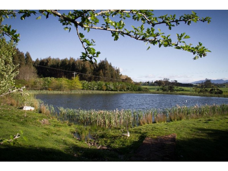 5494 Bass Highway, Elizabeth Town TAS 7304