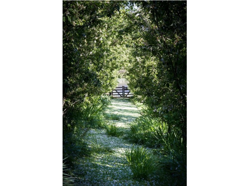 5494 Bass Highway, Elizabeth Town TAS 7304