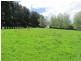 5494 Bass Highway, Elizabeth Town TAS 7304