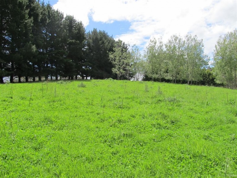 5494 Bass Highway, Elizabeth Town TAS 7304
