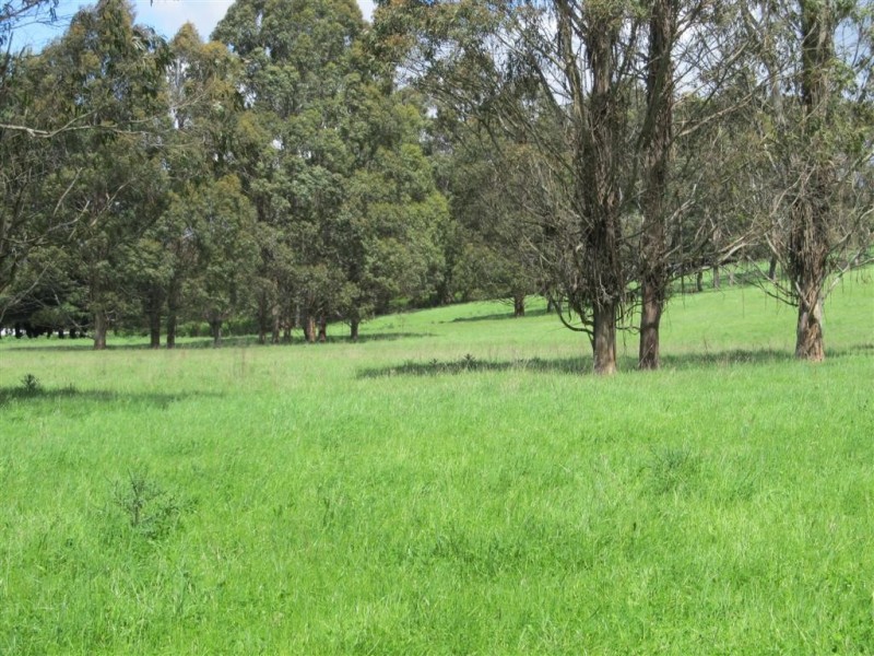 5494 Bass Highway, Elizabeth Town TAS 7304