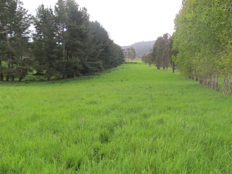 5494 Bass Highway, Elizabeth Town TAS 7304