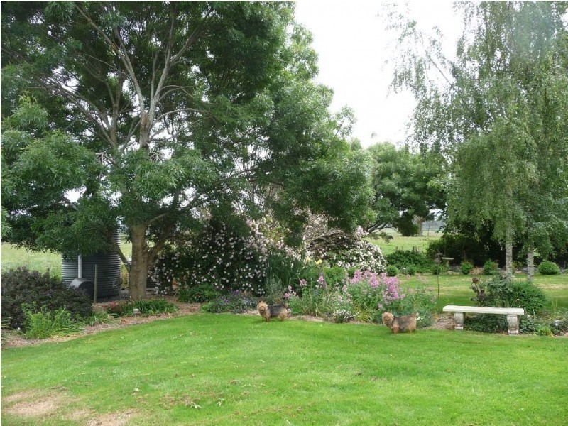 215 Bracknell Road, Bracknell TAS 7302