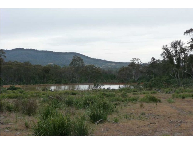 1435 Blessington Road, White Hills TAS 7258
