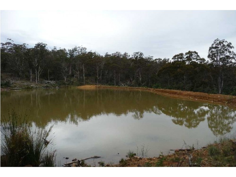 1435 Blessington Road, White Hills TAS 7258