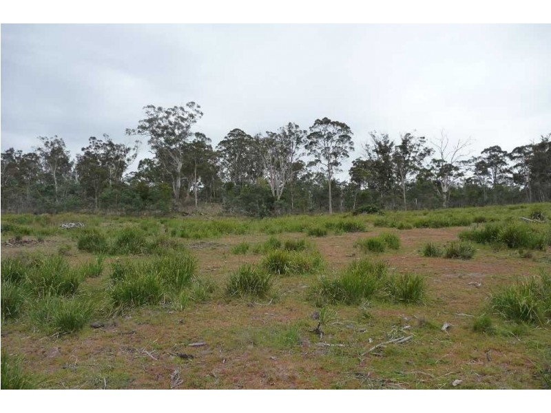 1435 Blessington Road, White Hills TAS 7258