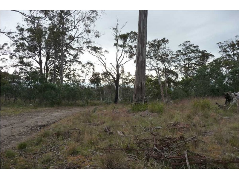 1435 Blessington Road, White Hills TAS 7258