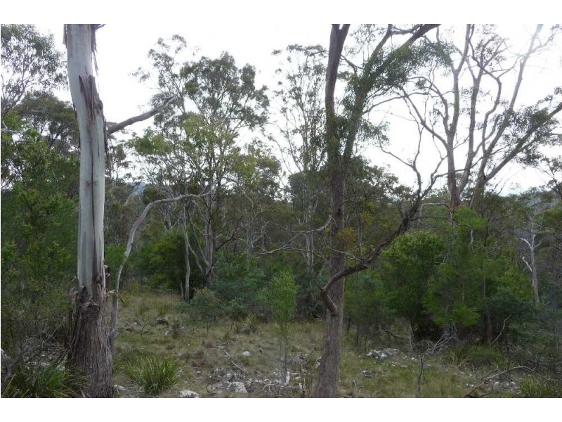 1435 Blessington Road, White Hills TAS 7258