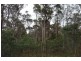 1435 Blessington Road, White Hills TAS 7258