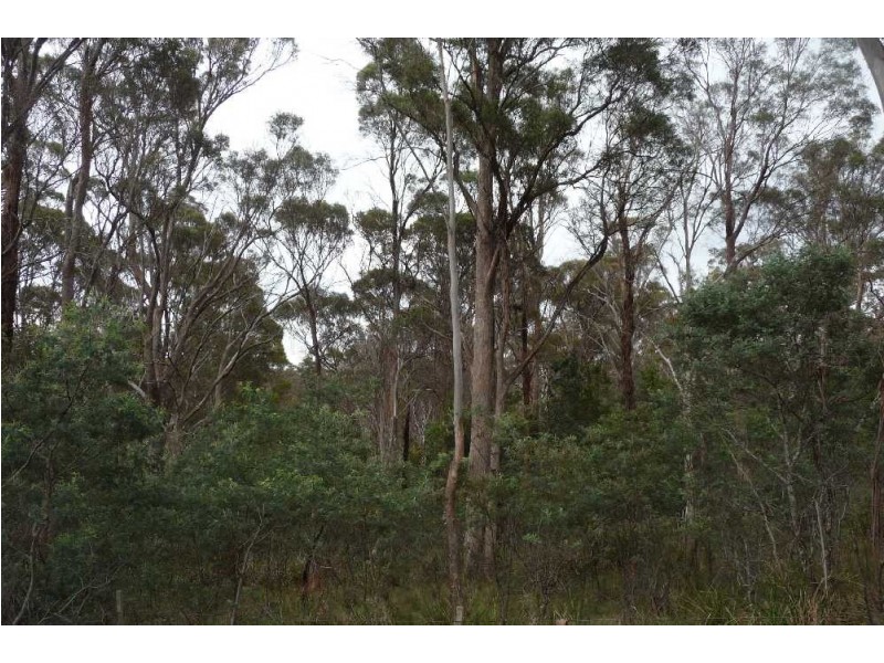 1435 Blessington Road, White Hills TAS 7258