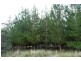1435 Blessington Road, White Hills TAS 7258