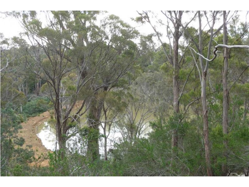 1435 Blessington Road, White Hills TAS 7258
