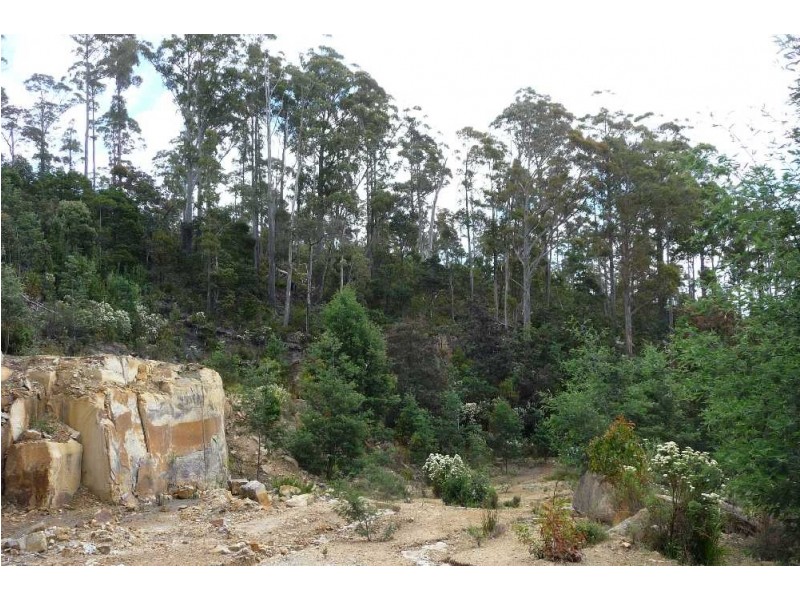 39009 Tasman Highway, Nunamara TAS 7259