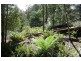 39009 Tasman Highway, Nunamara TAS 7259