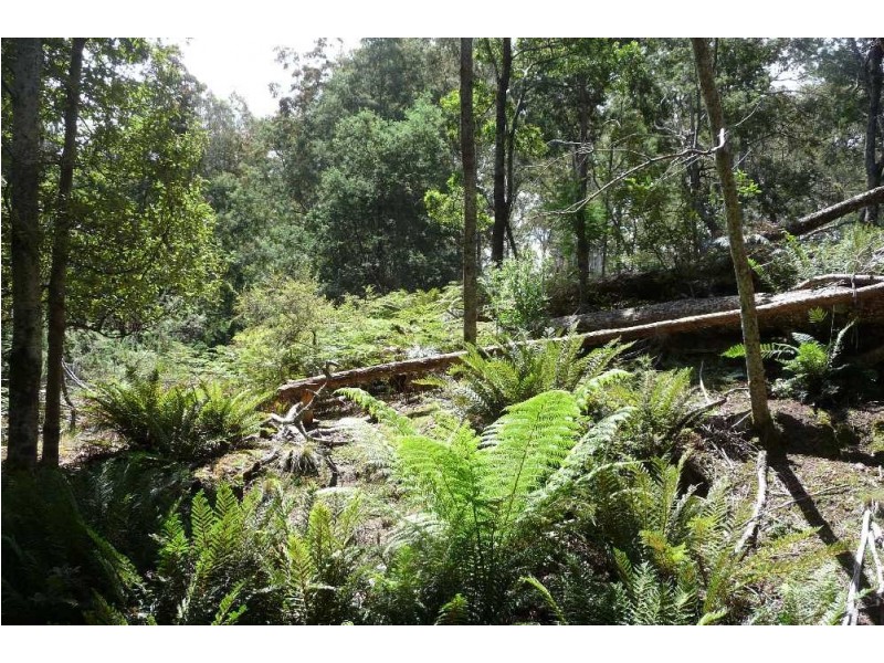 39009 Tasman Highway, Nunamara TAS 7259
