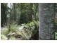 39009 Tasman Highway, Nunamara TAS 7259