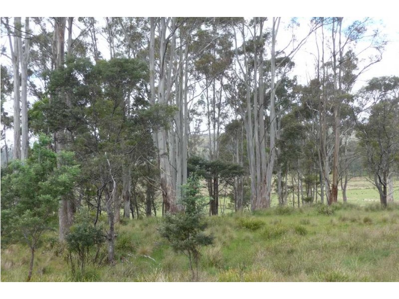 39009 Tasman Highway, Nunamara TAS 7259