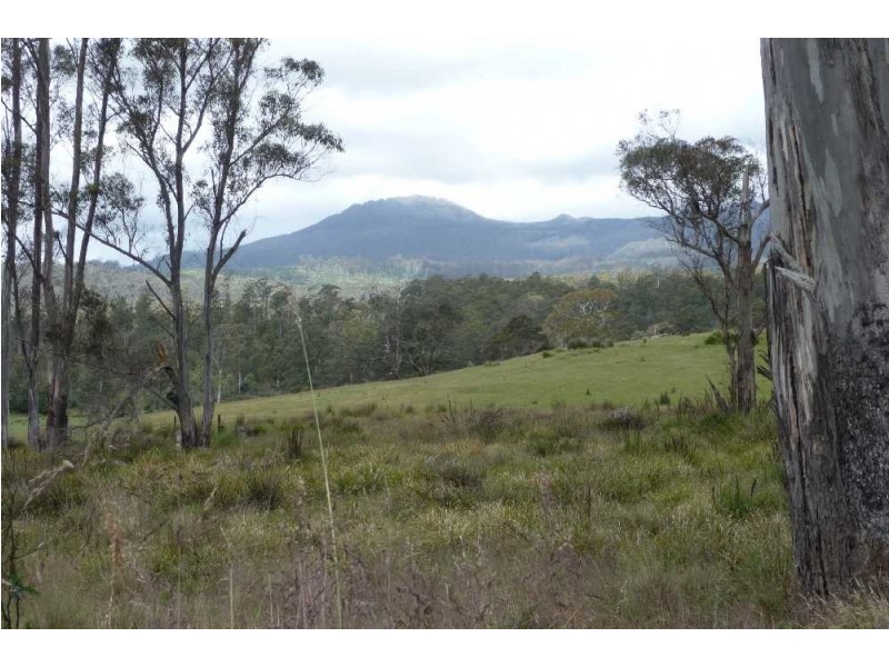 39009 Tasman Highway, Nunamara TAS 7259
