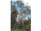 39009 Tasman Highway, Nunamara TAS 7259