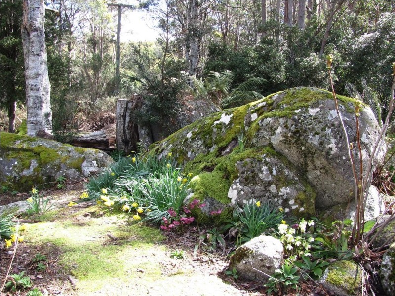 951 Mount Barrow Road, Nunamara TAS 7259