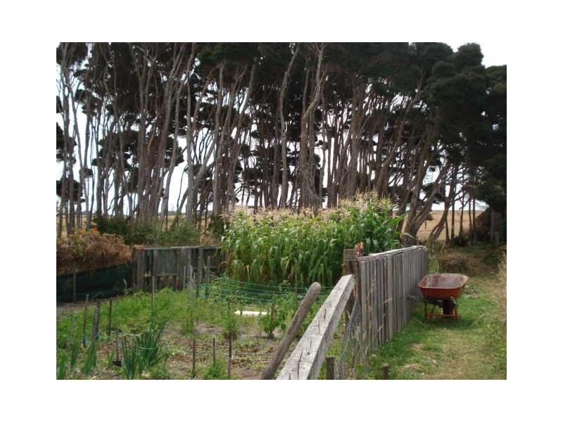 105 Fraser Road, Currie, King Island TAS 7256