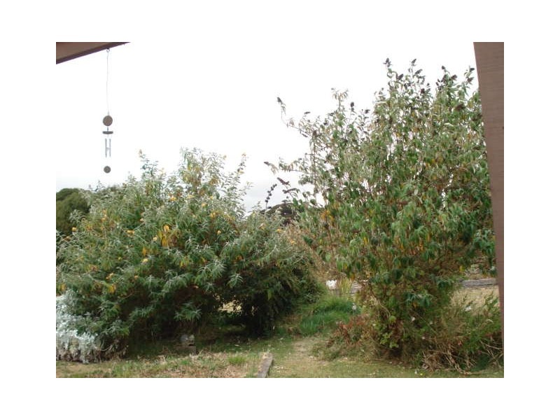 105 Fraser Road, Currie, King Island TAS 7256