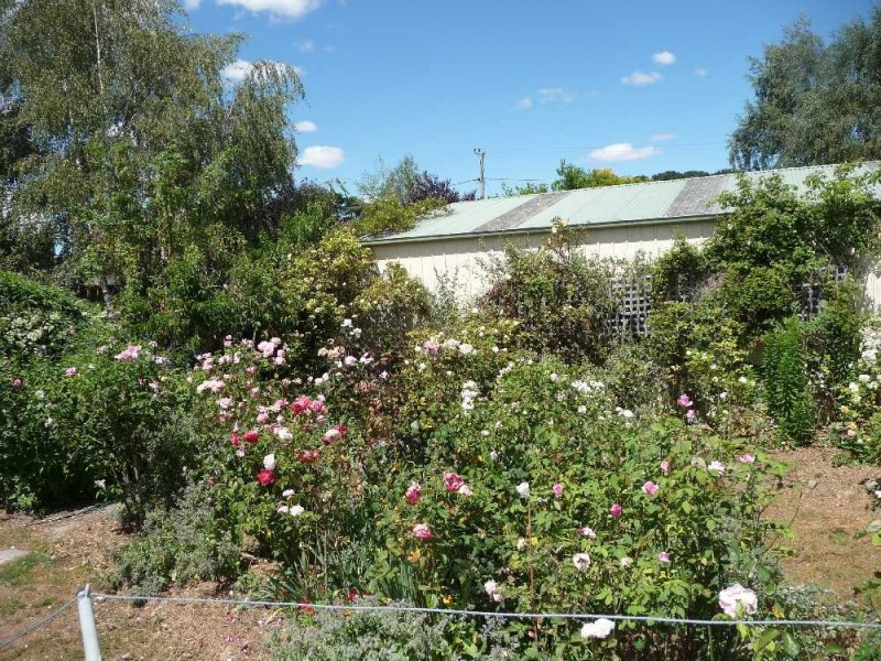 98 Main Road, Perth TAS 7300