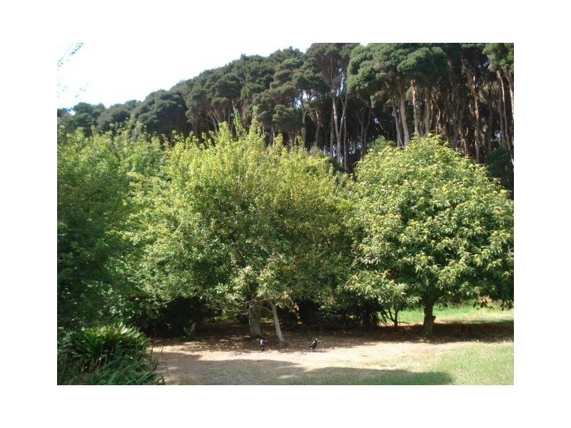 The Esplanade, Naracoopa, King Island TAS 7256