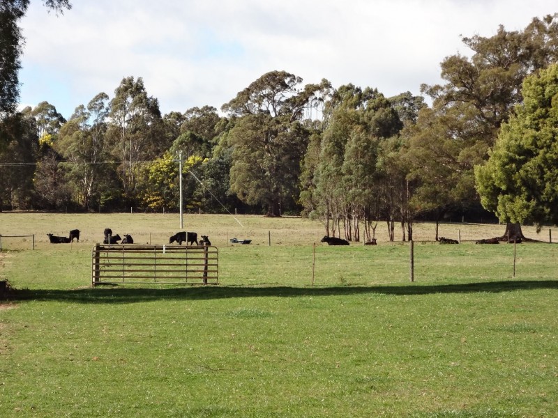 30 Hodgetts Road, Rosevale TAS 7292