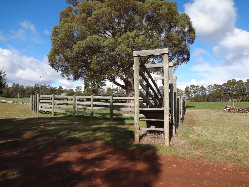 30 Hodgetts Road, Rosevale TAS 7292