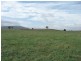 77 McDougalls Road, Legerwood TAS 7263
