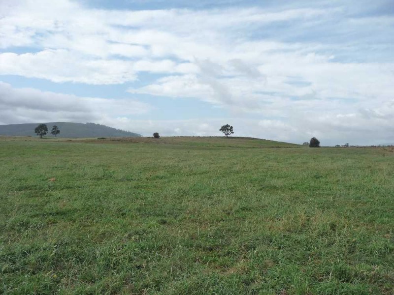 77 McDougalls Road, Legerwood TAS 7263