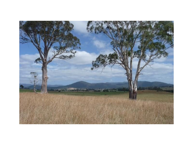 77 McDougalls Road, Legerwood TAS 7263