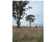 77 McDougalls Road, Legerwood TAS 7263