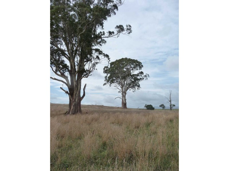 77 McDougalls Road, Legerwood TAS 7263