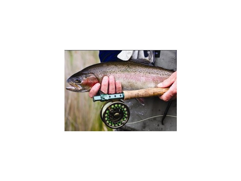 1204 Long Marsh Road, Lake Leake TAS 7210