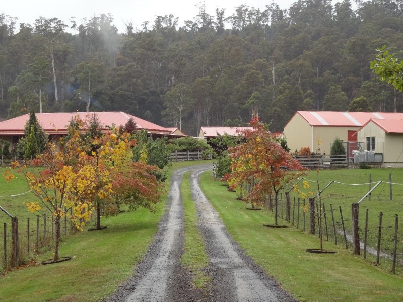 209 Mount Barrow Road, Nunamara TAS 7259